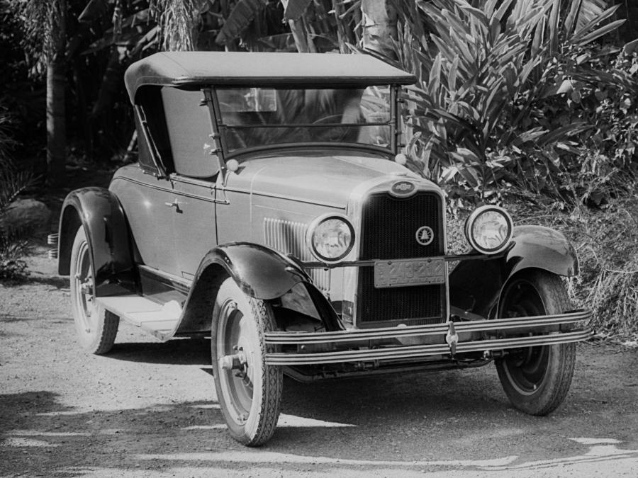  Chevrolet National Roadster 1928 года  (фото 6 из 7)
